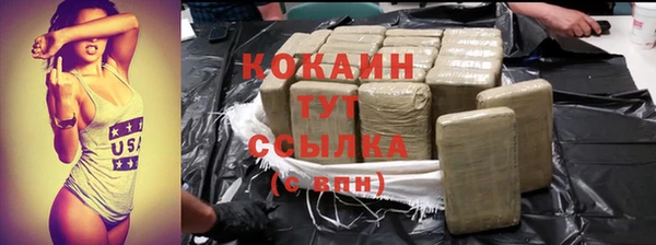 тгк Абаза