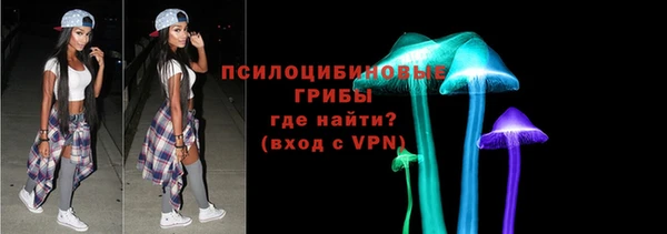 ГАЛЛЮЦИНОГЕННЫЕ ГРИБЫ Алексеевка