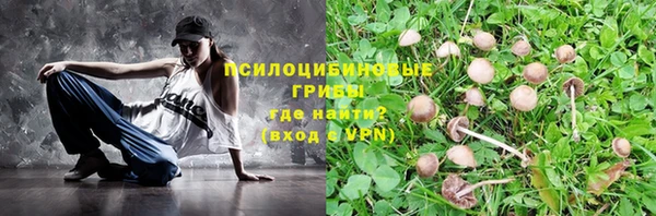 тгк Абаза