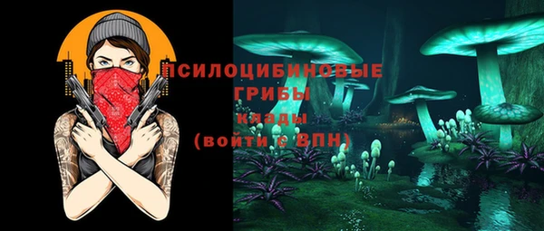 тгк Абаза
