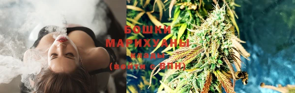 ПСИЛОЦИБИНОВЫЕ ГРИБЫ Алексин
