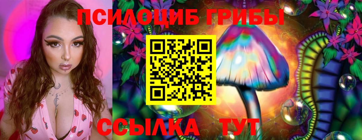 Галлюциногенные грибы Psilocybe Керчь
