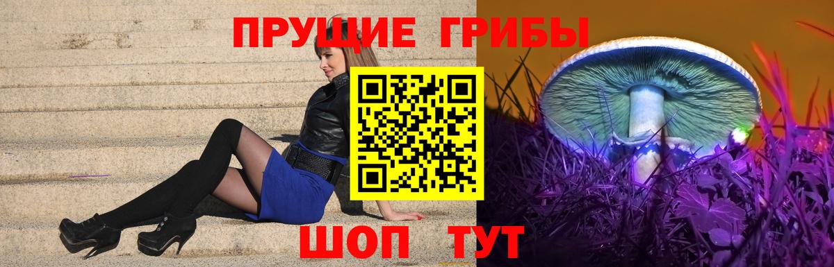 Галлюциногенные грибы GOLDEN TEACHER  Галлюциногенные грибы Psilocybe  купить наркотики цена  Вход с VPN  Керчь 